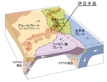 伊豆半島の成り立ち