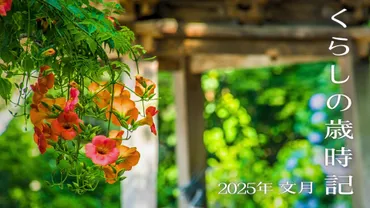 7月のイベント、日本の夏を満喫！七夕、夏祭り、食で夏バテ防止？2025年7月のイベント情報：夏祭り、旬の食材、伝統行事