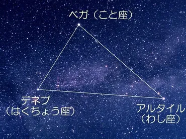 七夕の夜空、星に願いを込めて：夏の大三角と七夕の歴史を探る？七夕の起源、星空観察、各地の祭り、伝統的七夕、未来の七夕