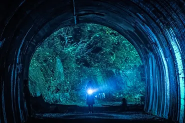 『犬鳴村』の謎を追え！心霊スポットと映画の恐怖！(真実は？)映画『犬鳴村』と都市伝説が織りなす恐怖の世界