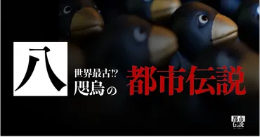 八咫烏の都市伝説を紹介！代表者林裕之や秘密結社について徹底解説 