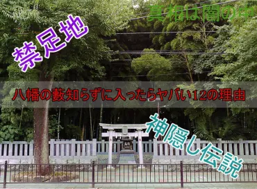 千葉県茂原市の「八幡の藪知らず」で起きた神隠し事件の真相は？女子高生失踪事件とは！？