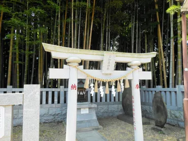 あの水戸黄門も恐怖を味わった心霊スポット 千葉の「禁足地」に行ってみた