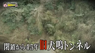 噂の心霊スポット!福岡・犬鳴峠の「旧犬鳴トンネル」にカメラが潜入