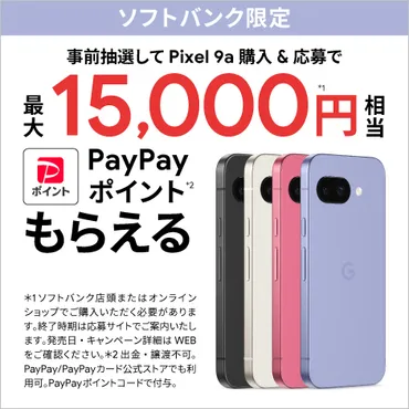 キャンペーン
