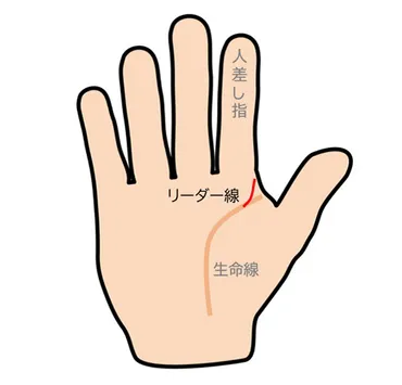 向上線がある手相ならあなたは努力型？その意味と見方を占い師が教えます